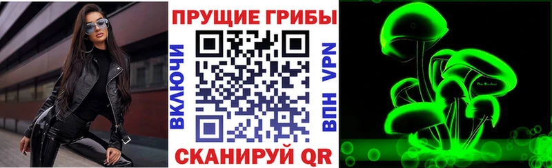 наркотики  Тюмень  Псилоцибиновые грибы мухоморы 